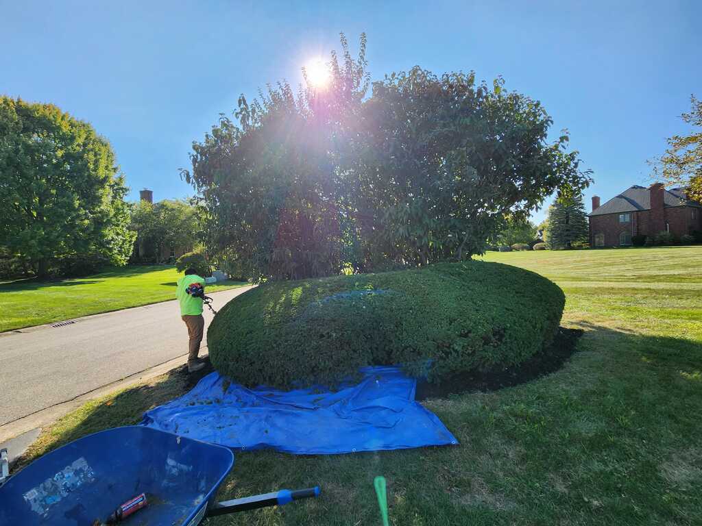 Landscaping image.